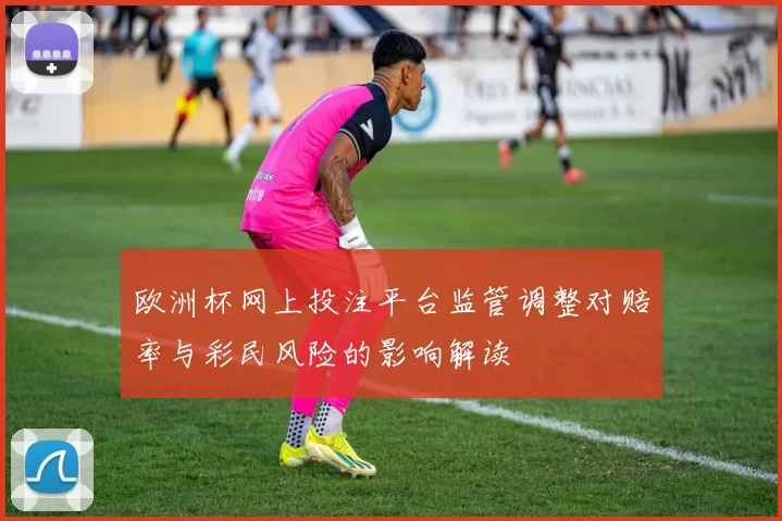 欧洲杯网上投注平台监管调整对赔率与彩民风险的影响解读