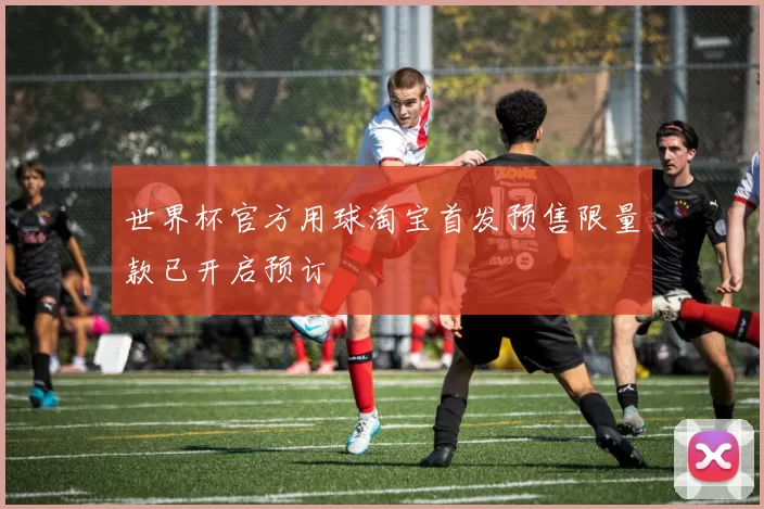 世界杯官方用球淘宝首发预售限量款已开启预订