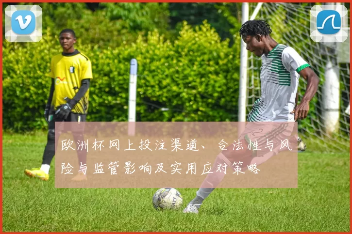 欧洲杯网上投注渠道、合法性与风险与监管影响及实用应对策略