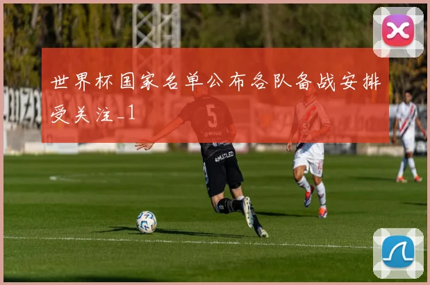世界杯国家名单公布各队备战安排受关注_1