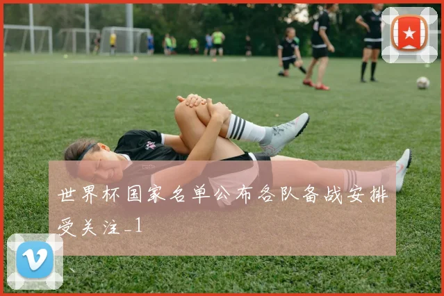 世界杯国家名单公布各队备战安排受关注_1