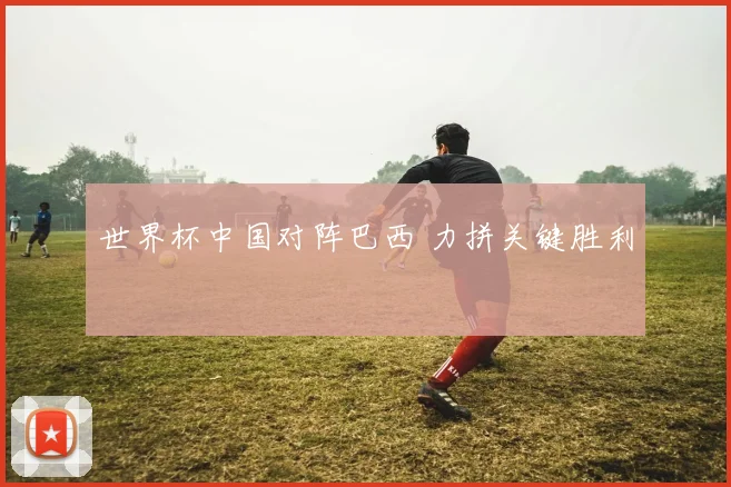 世界杯中国对阵巴西 力拼关键胜利